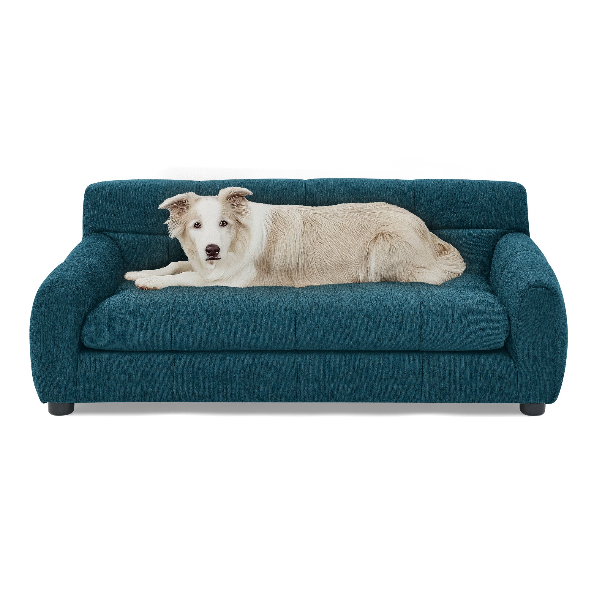 Pet Sofa with Backrest and Armrests